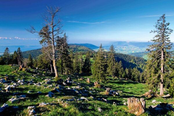 Chasseral – La Vue des Alpes – La Chaux-de-Fonds