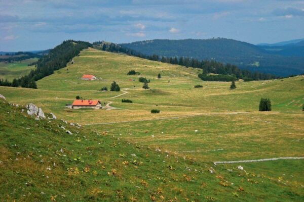 Les Hauts-Geneveys – Chambrelien