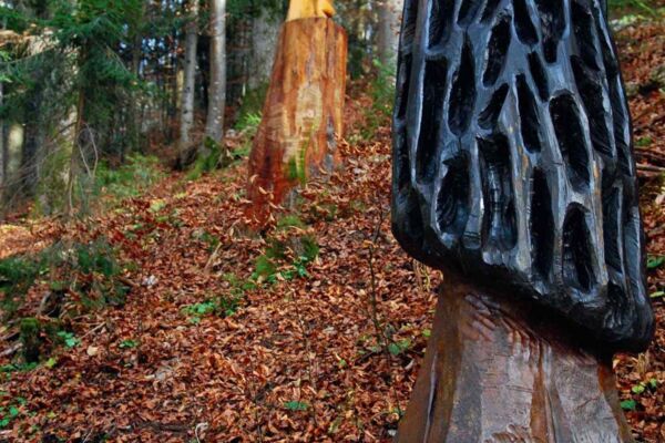 Boucle du "Sentier des Statues"